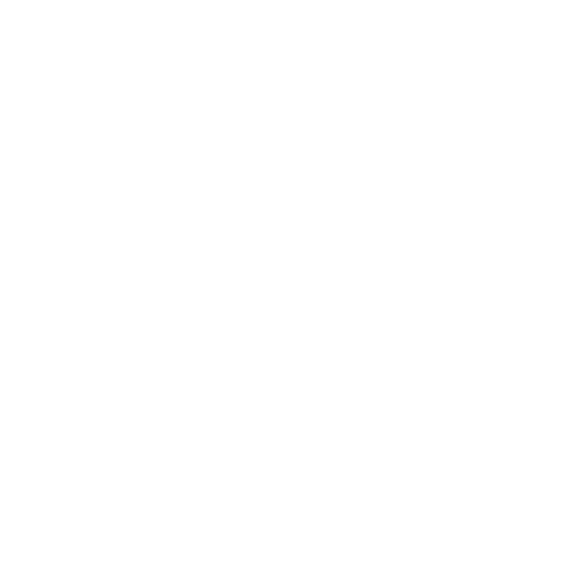 Porsche Logo
