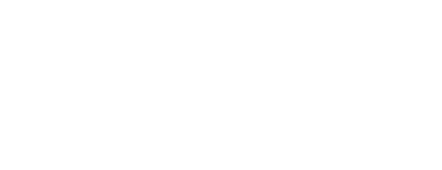 Twist Automotive